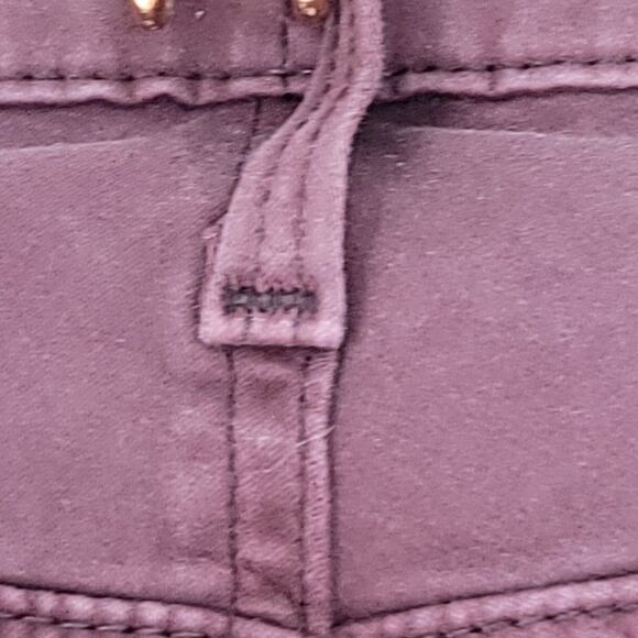 Ag adriano goldschmied brick red pants abbey ankle - Picture 9 of 14